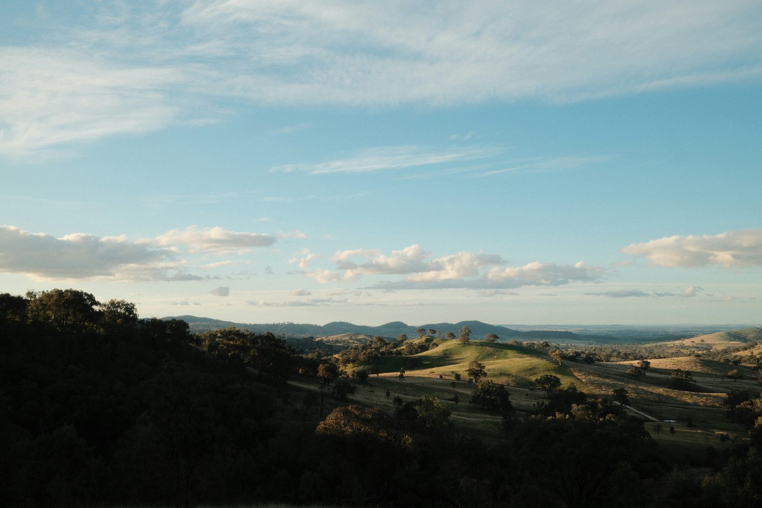 Rolling green countryside in the wine regions